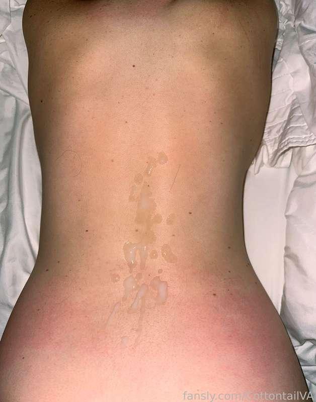 cottontailva image #2