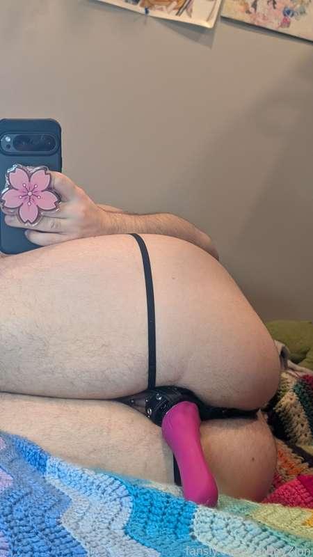 catboyzion image #13