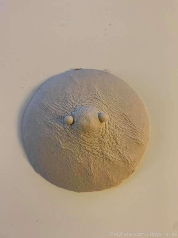 I just made a nipple cast and can't get over how perfect it ..
