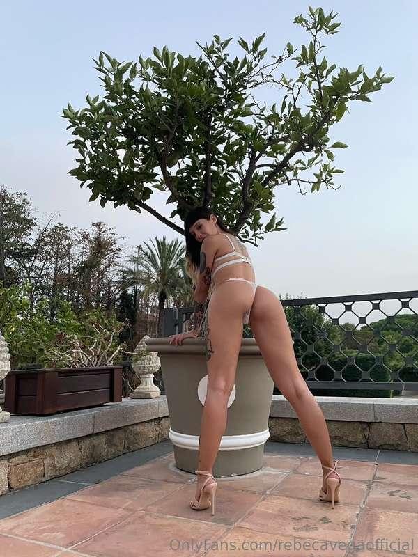 rebecavegaofficial image #1