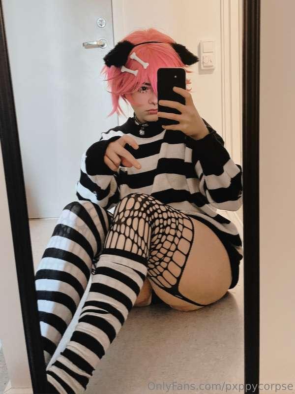 pxppycorpse image #10