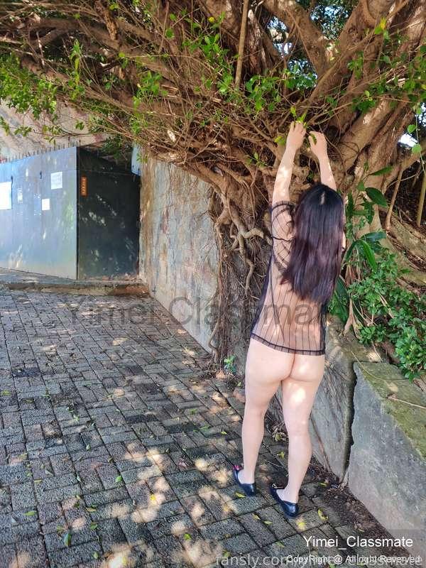 yimei_classmate image #12