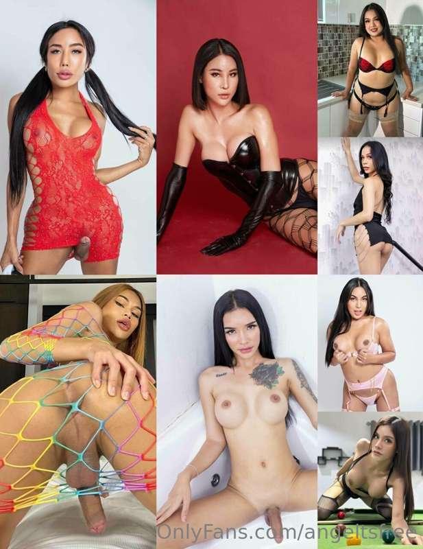 Discover the luscious world of the hottest ladyboys of Thail..