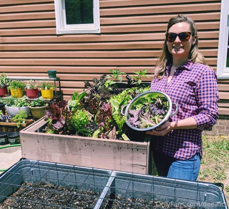 First harvest of the season! Lettuce all enjoy our Thursday...