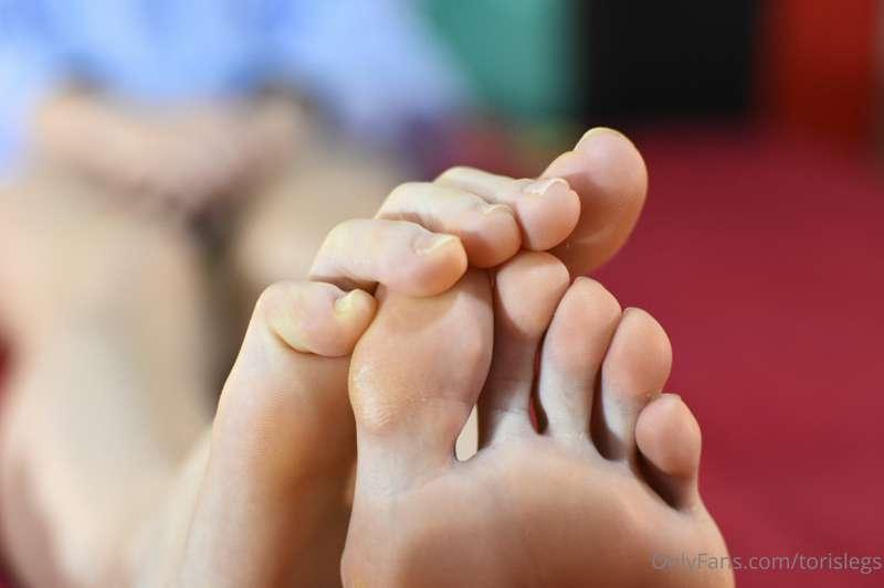 torislegs image #20