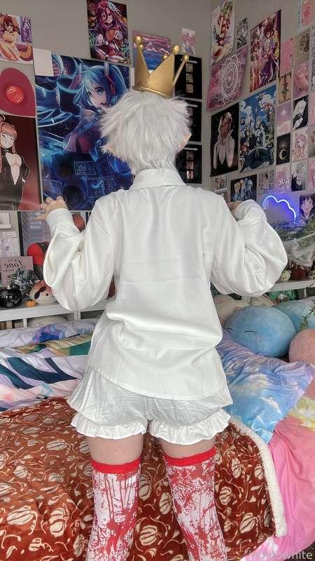indigowhite image #285
