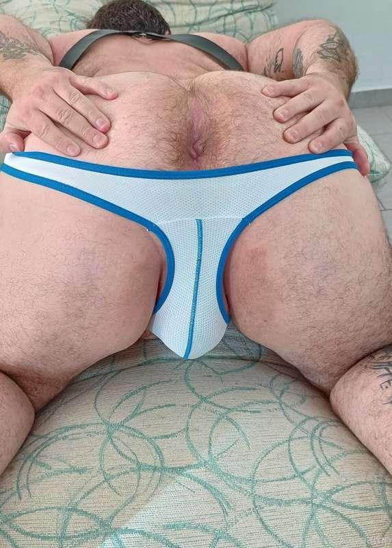 bearpamp image #0