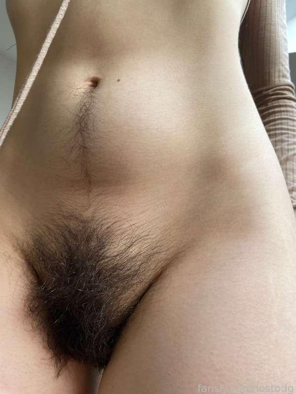 lostodg image #2