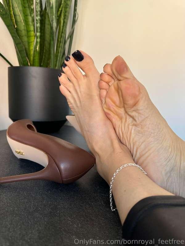 I am the boss. You just obey. Now go over to @bornroyal_feet..