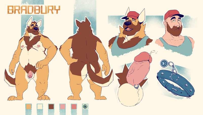 Bradbury Reference Sheet! 