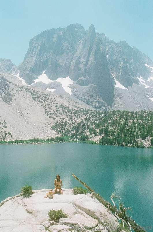 court.inthewild image #14