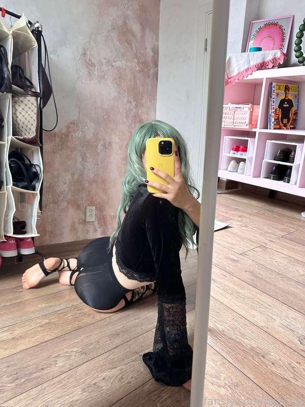 lostodg image #1
