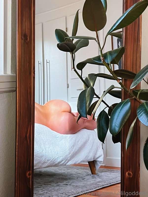 - ｂｏｏｔｙ ｐｉｃｓ… ｊｕｓｔ ｂｏｏｔｙ ｐｉｃｓ -  Here’s sum Saturday morning..