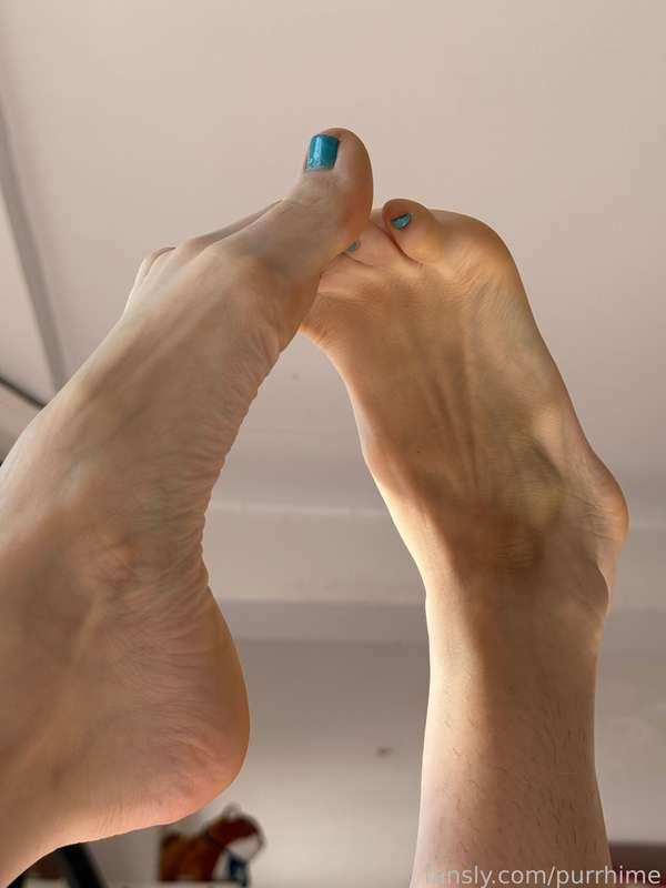 purrhime image #1