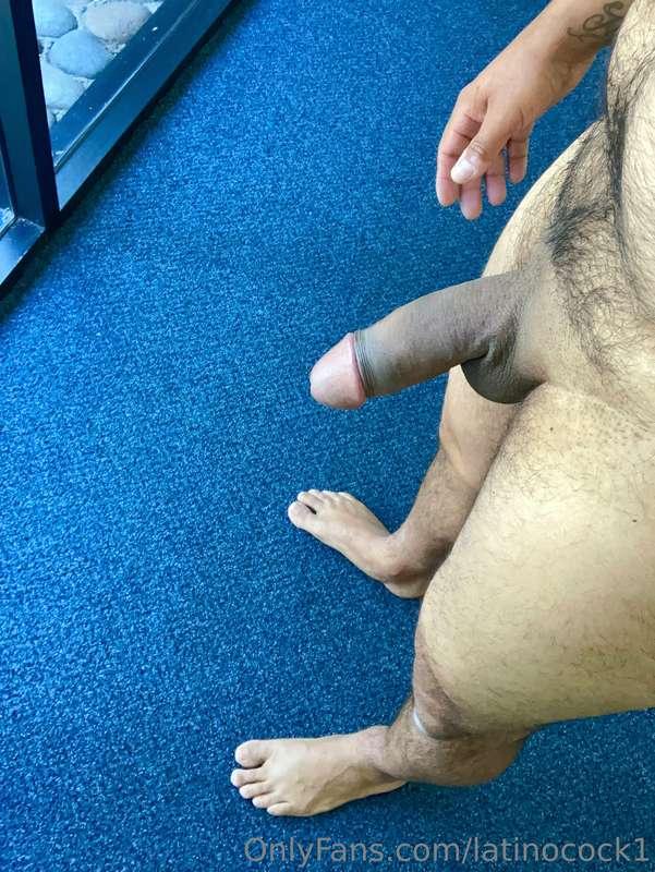 latinocock1 image #3