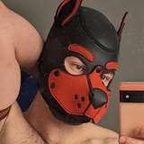 puppy_benji