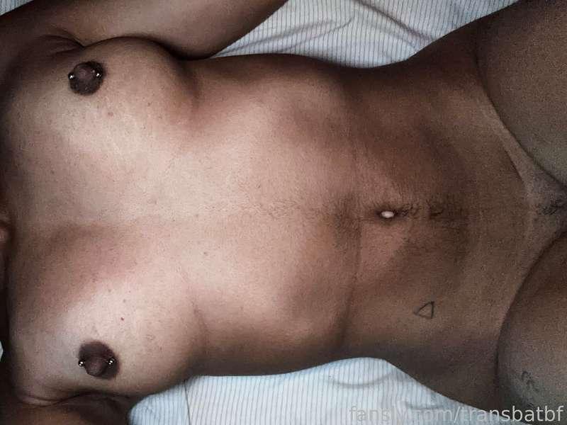 transbatbf image #12