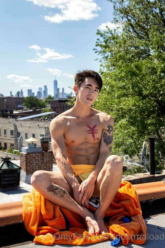 postmaload main image