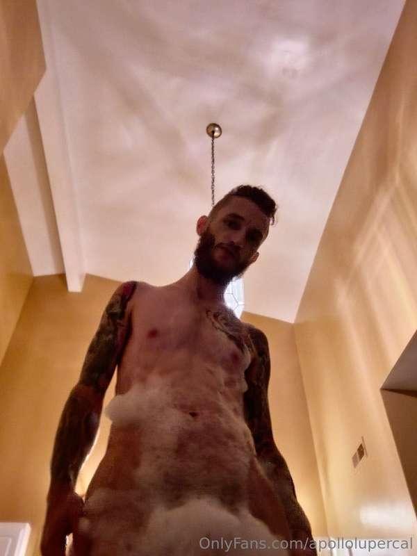 apollolupercal image #0