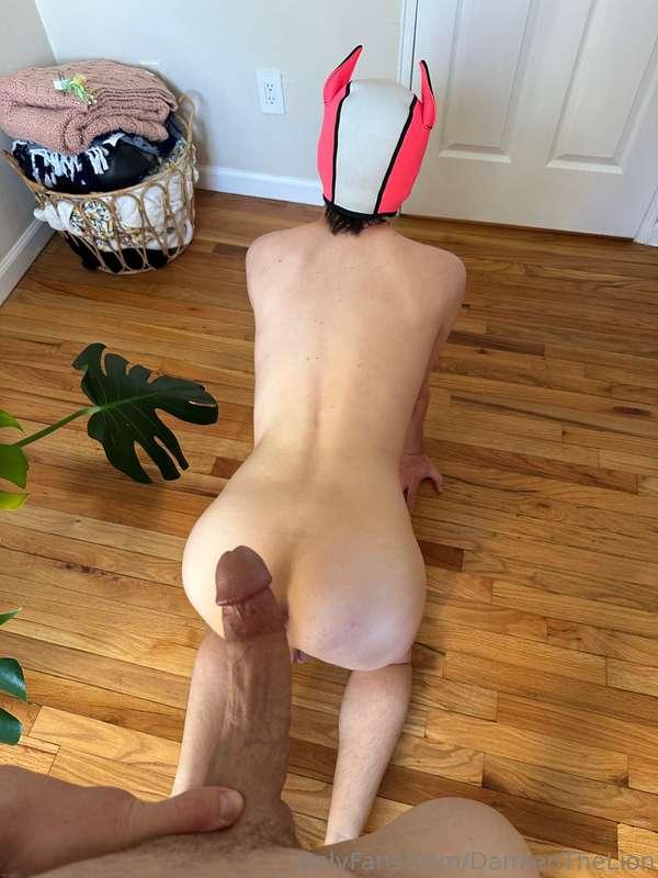Think @PupClover can take it? (Spoiler: he can)