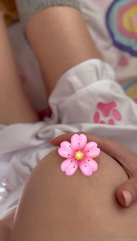 Flowers 🌸are in season again
Do you want to see my blossoms ..