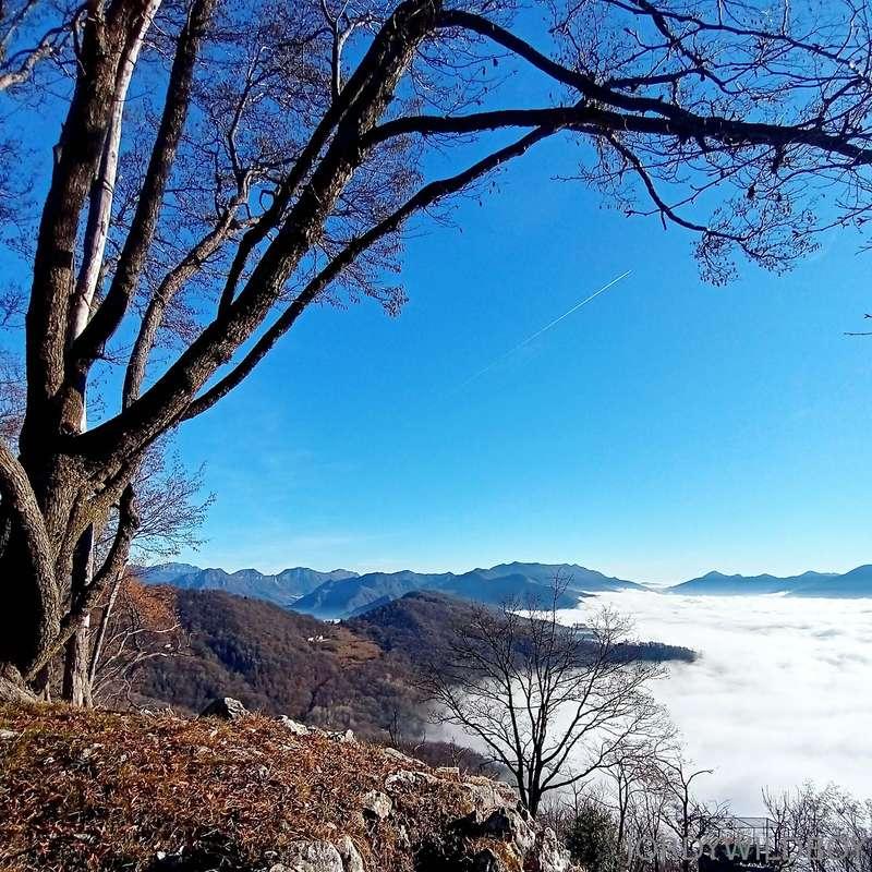 ⛰ ***JORDY ESCAPED FROM TOWN*** ⛰  👃 *Smell the Air* 👃  👁️ *..