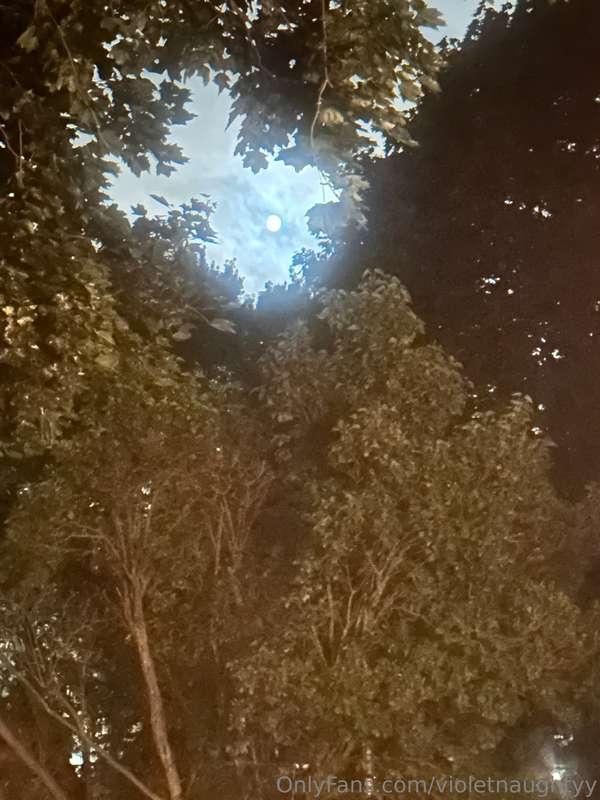 My love language is asking if you’ve seen the moon tonight 