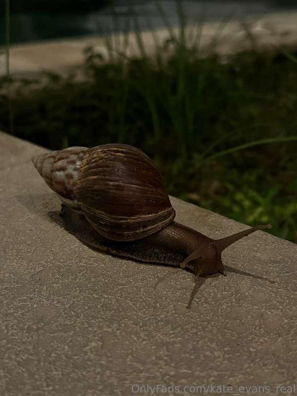 Bali, you're driving me crazy! 😍Even an ordinary snail here ..