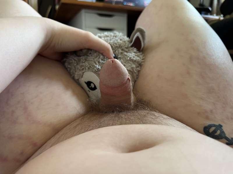 pupc0ded image #12