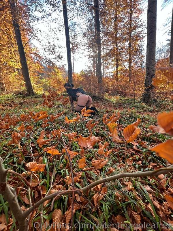 De maine încep postările de Halloween 👻👻 te aștept pe premiu..