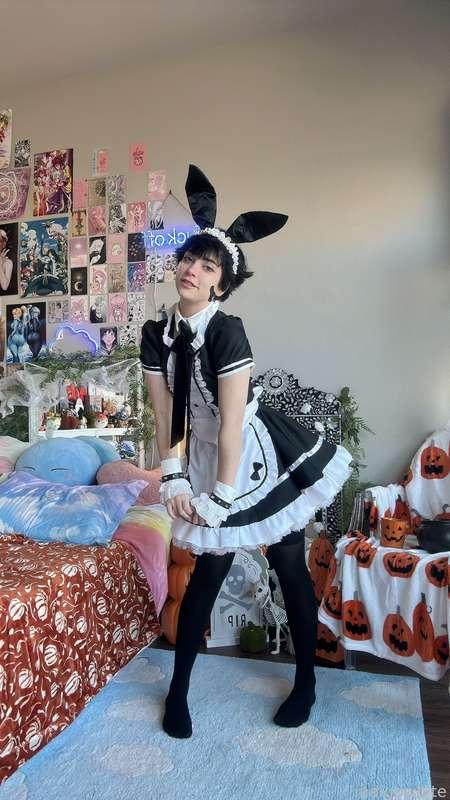indigowhite image #11