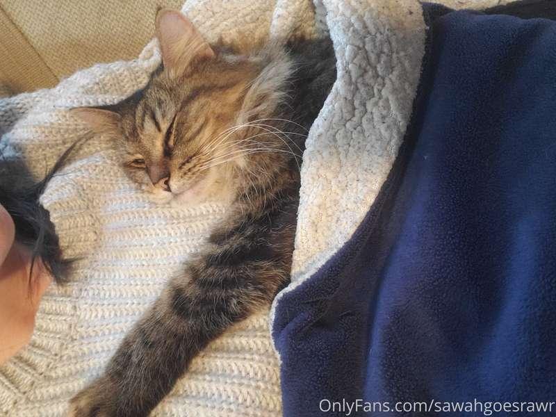 sawahgoesrawr main image