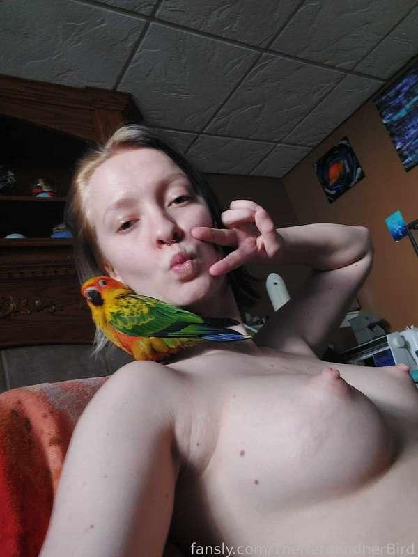 thenerdandherbird image #4