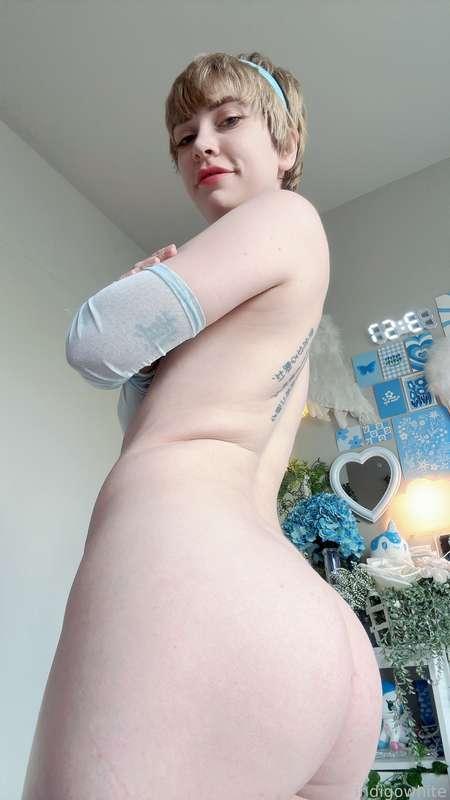 indigowhite image #228