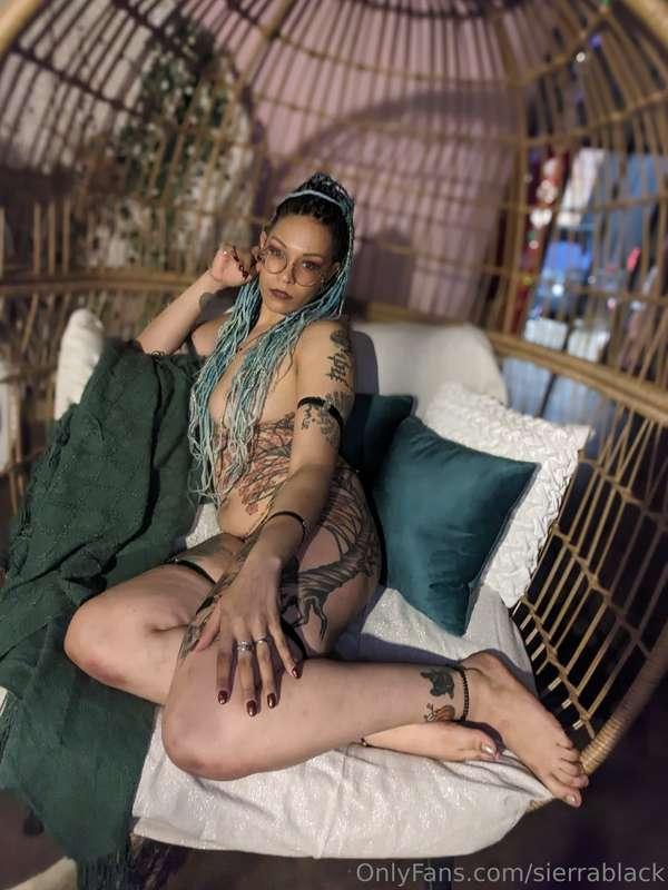 sierrablack image #11