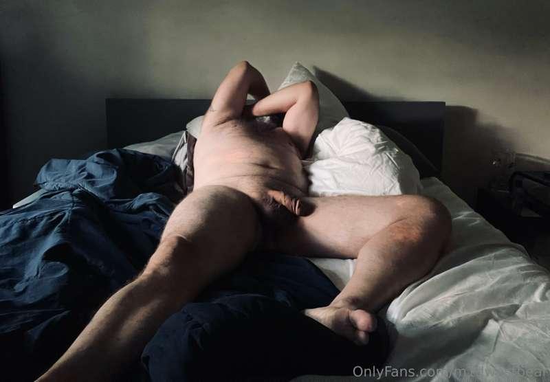 m1dwestbear image #7