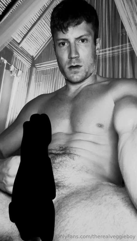 therealveggieboy image #0