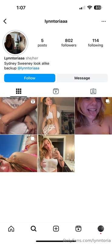 lynntoria image #0