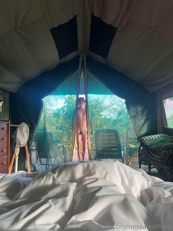 missalexthorn image #9