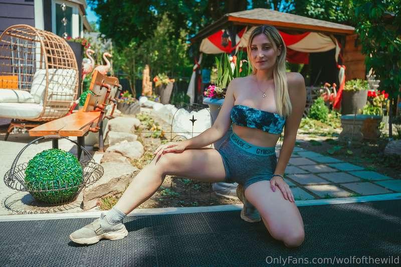 wolfofthewild image #1