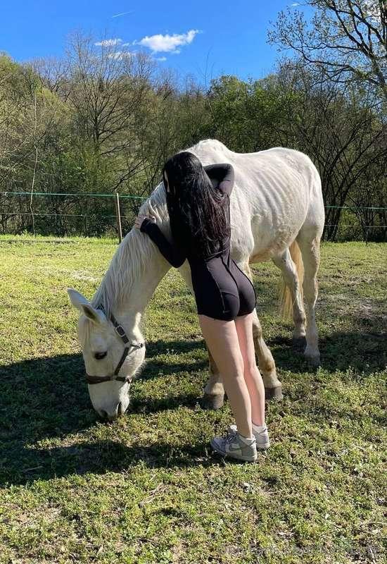 It's a beautiful day today🐴
