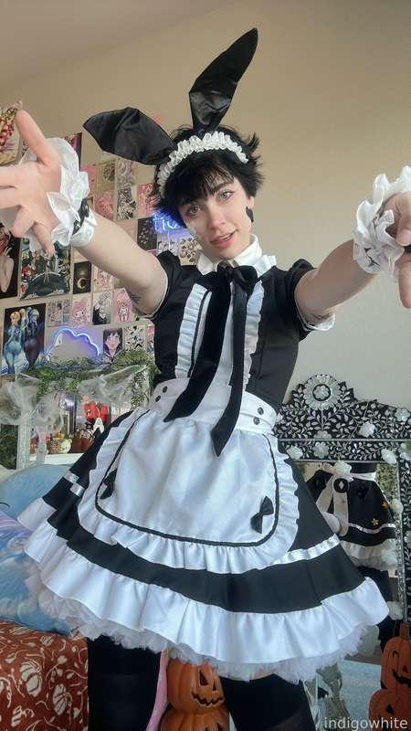 indigowhite image #84
