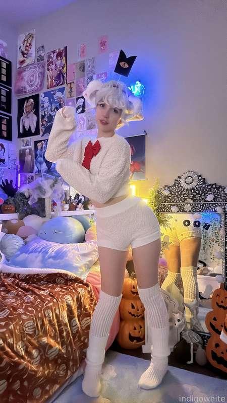indigowhite image #156
