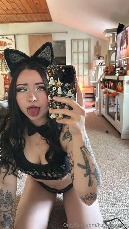 purrrrrrr🐈‍⬛🐱