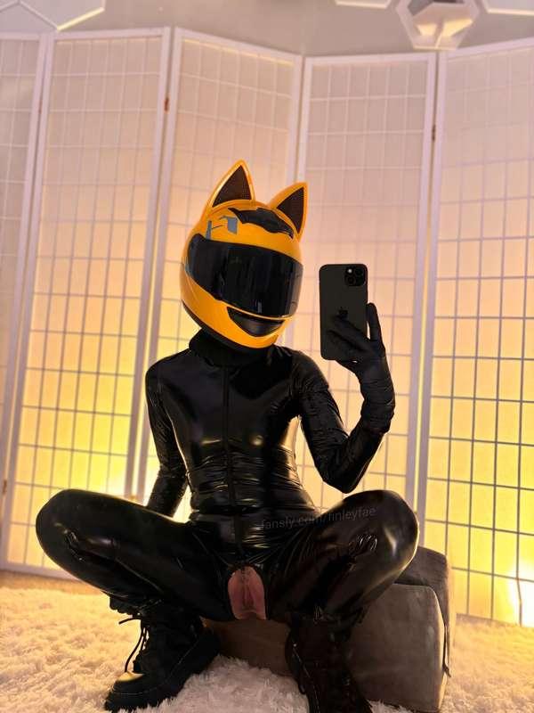 Cat girl ~