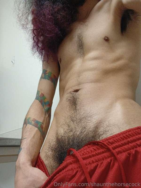 shaunthehorsecock image #1