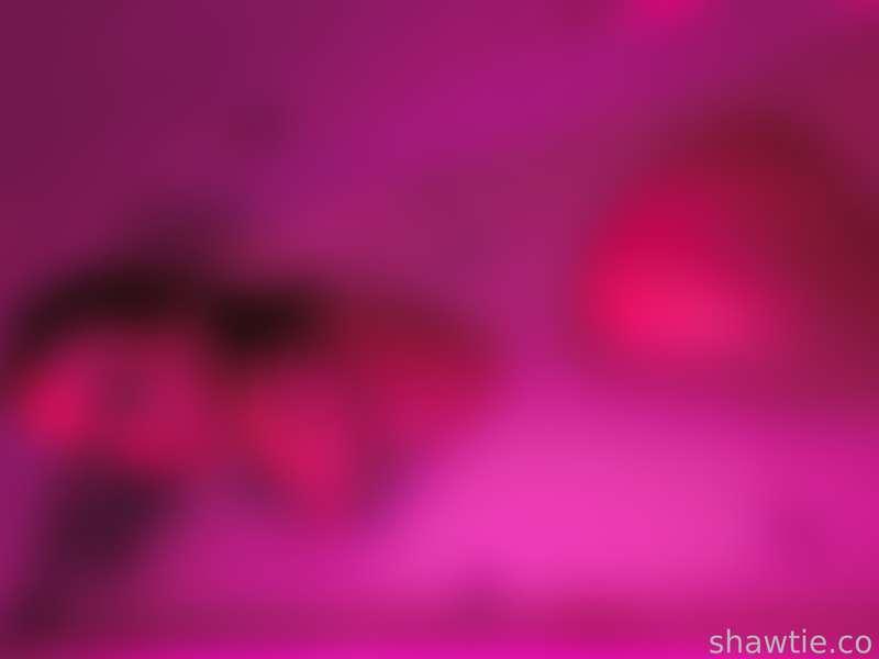shawtiee image #9