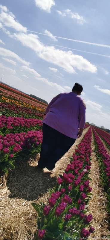 🌷 Season