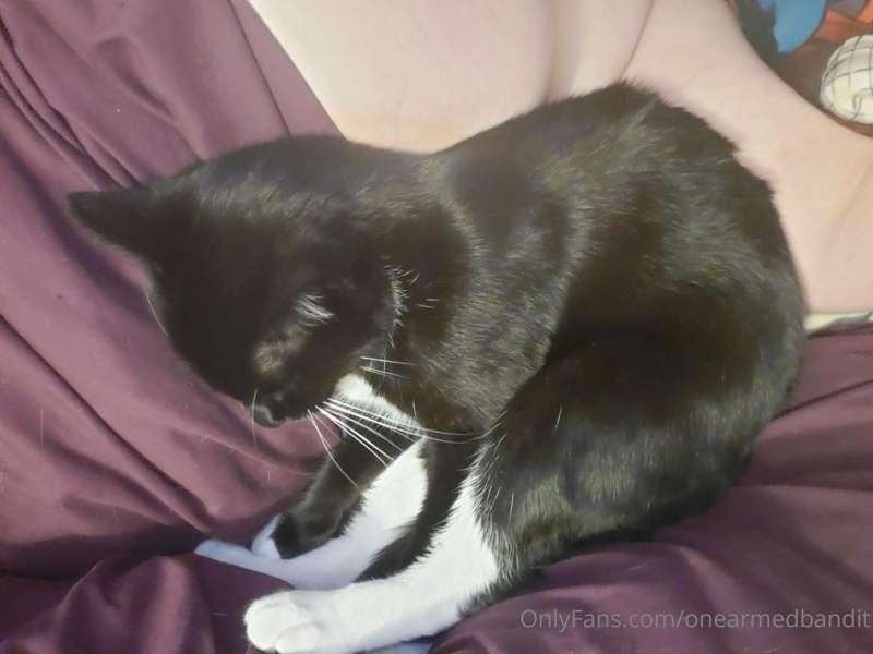 Kitty on a titty. Cutie on a boobie.