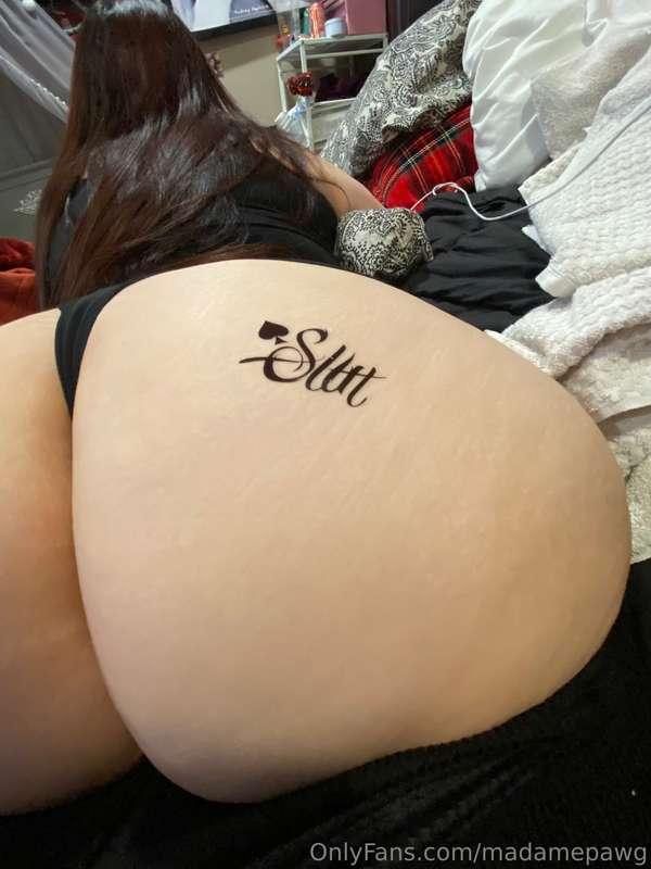 madamepawg image #11